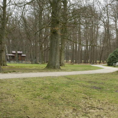 Rijksdienst voor het Cultureel Erfgoed: Galen, Jan van