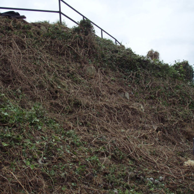 Rijksdienst voor het Cultureel Erfgoed