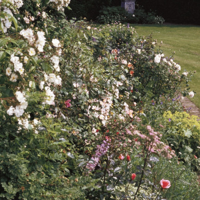 Rijksdienst voor het Cultureel Erfgoed: Heuff M. (Marijke)