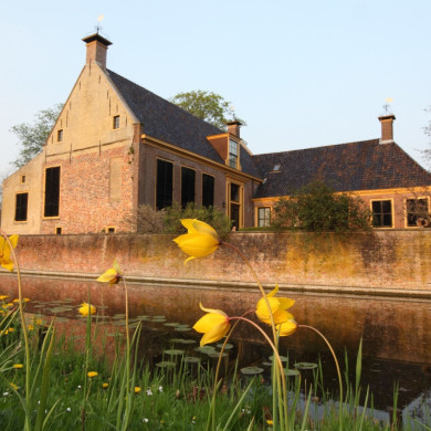 Rijksdienst voor het Cultureel Erfgoed: Bijlsma, Simon
