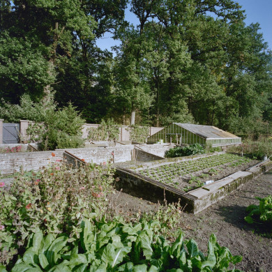 Rijksdienst voor het Cultureel Erfgoed: Heins, IJ.Th.
