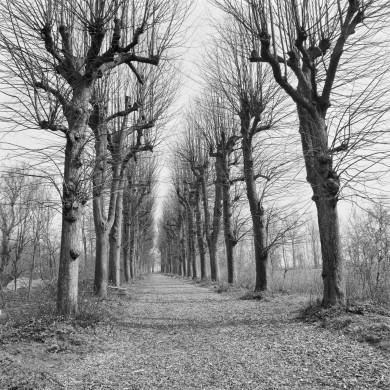 Rijksdienst voor het Cultureel Erfgoed: Wal, A.J. van der