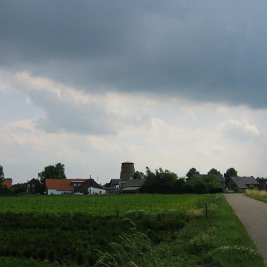 Rijksdienst voor het Cultureel Erfgoed: Terpstra, Frank