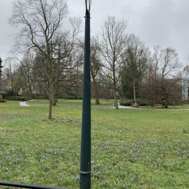 Rijksdienst voor het Cultureel Erfgoed: Bogers, Guido