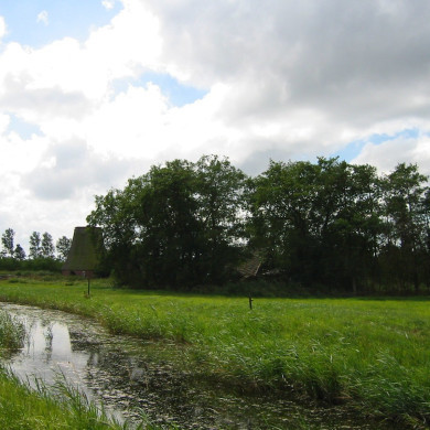 Rijksdienst voor het Cultureel Erfgoed: Terpstra, Frank