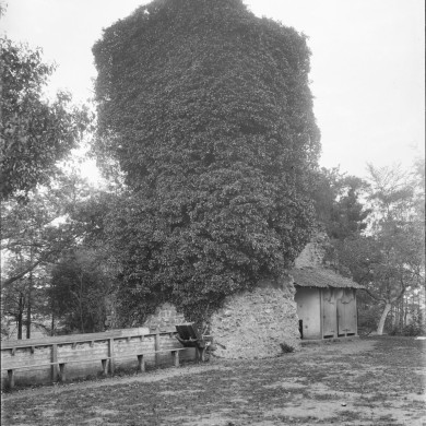 Rijksdienst voor het Cultureel Erfgoed