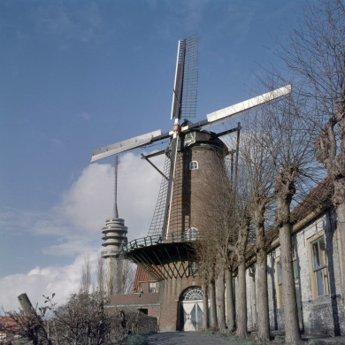 Rijksdienst voor het Cultureel Erfgoed