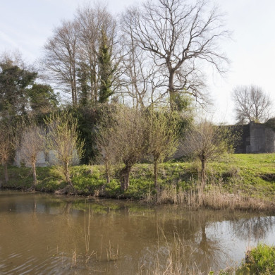 Rijksdienst voor het Cultureel Erfgoed: Galen, P. (Paul) van-Booms, C.S. (Chris)