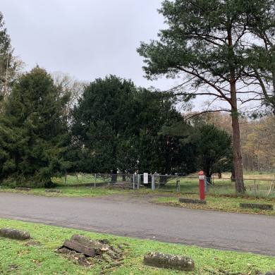 Rijksdienst voor het Cultureel Erfgoed: Bogers, Guido