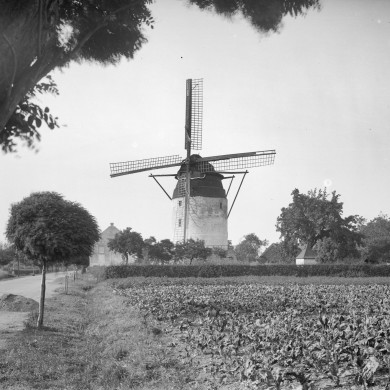 Rijksdienst voor het Cultureel Erfgoed