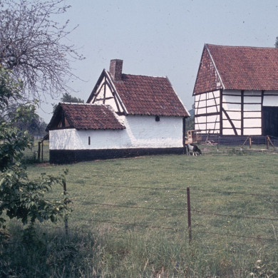 Rijksdienst voor het Cultureel Erfgoed