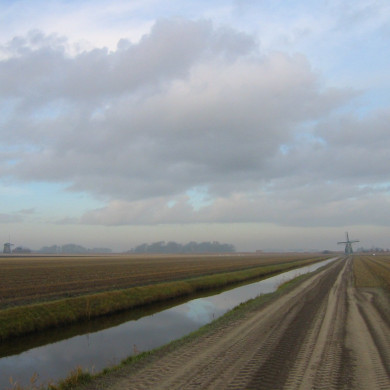 Rijksdienst voor het Cultureel Erfgoed: Terpstra, Frank