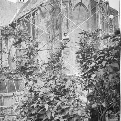 Rijksdienst voor het Cultureel Erfgoed