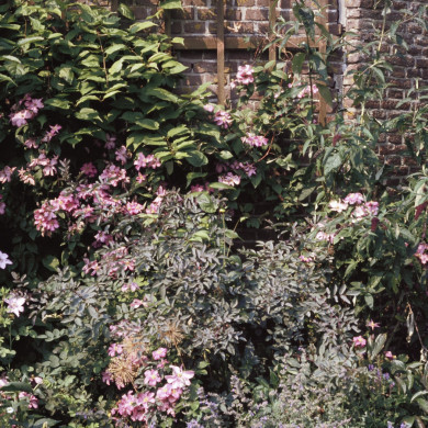 Rijksdienst voor het Cultureel Erfgoed: Heuff M. (Marijke)