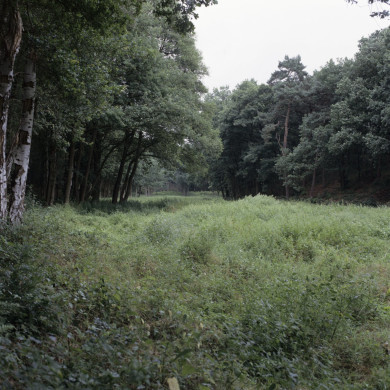 Rijksdienst voor het Cultureel Erfgoed: Roderburg, K. (Kris)
