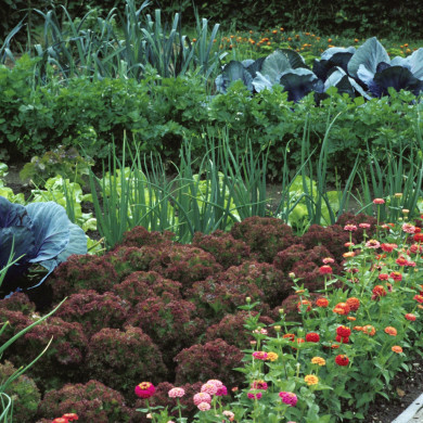 Rijksdienst voor het Cultureel Erfgoed: Heuff M. (Marijke)