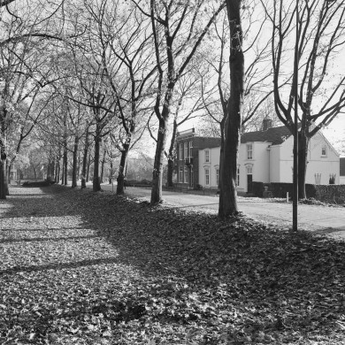 Rijksdienst voor het Cultureel Erfgoed: Barbiers, G.