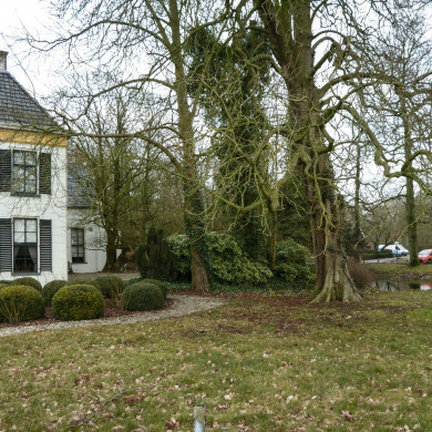 Rijksdienst voor het Cultureel Erfgoed: Brinkkemper, O. (Otto)