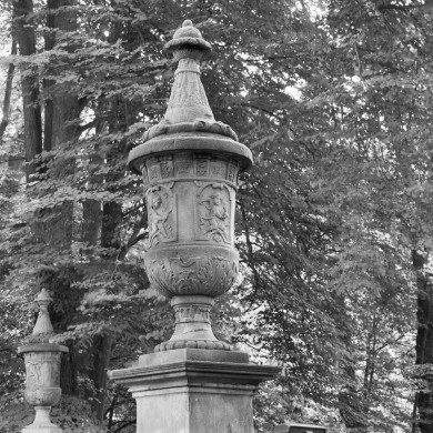 Rijksdienst voor het Cultureel Erfgoed: Wal, A.J. van der