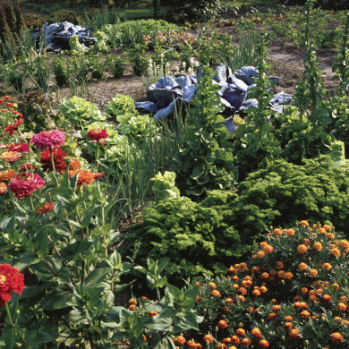 Rijksdienst voor het Cultureel Erfgoed: Heuff M. (Marijke)