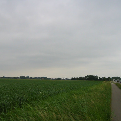 Rijksdienst voor het Cultureel Erfgoed: Terpstra, Frank