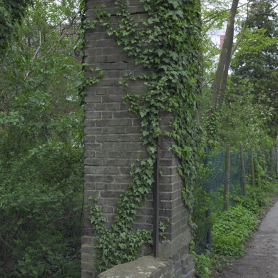 Rijksdienst voor het Cultureel Erfgoed: Booms, C.S. (Chris)