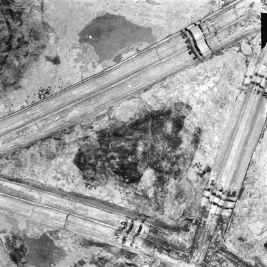 Rijksdienst voor het Cultureel Erfgoed: Delemarre, G.Th.