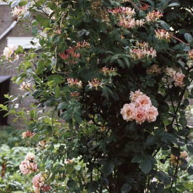 Rijksdienst voor het Cultureel Erfgoed: Heuff M. (Marijke)