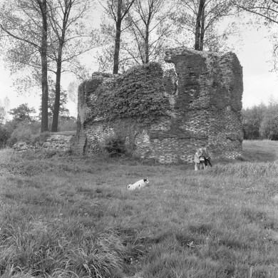 Rijksdienst voor het Cultureel Erfgoed: Delemarre, G.Th.