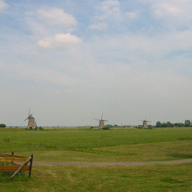 Rijksdienst voor het Cultureel Erfgoed: Terpstra, Frank