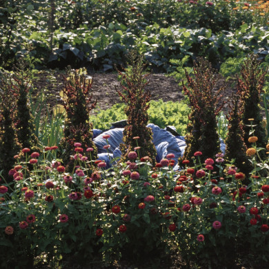 Rijksdienst voor het Cultureel Erfgoed: Heuff M. (Marijke)