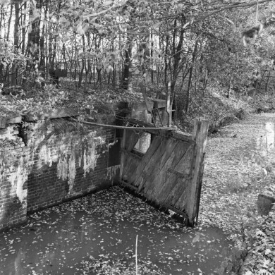 Rijksdienst voor het Cultureel Erfgoed: Tangel, L.M.