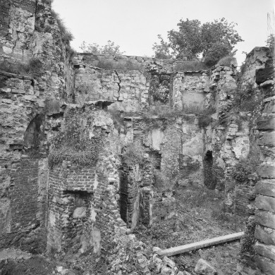 Rijksdienst voor het Cultureel Erfgoed: Delemarre, G.Th.