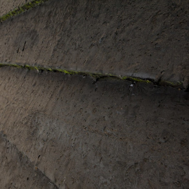 Rijksdienst voor het Cultureel Erfgoed: Roderburg, K. (Kris)