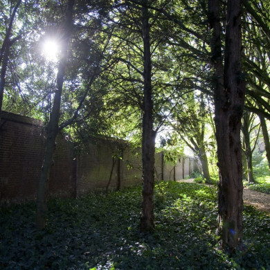 Rijksdienst voor het Cultureel Erfgoed: Technau, Sergé