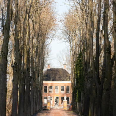 Rijksdienst voor het Cultureel Erfgoed: Sekuur, Mark