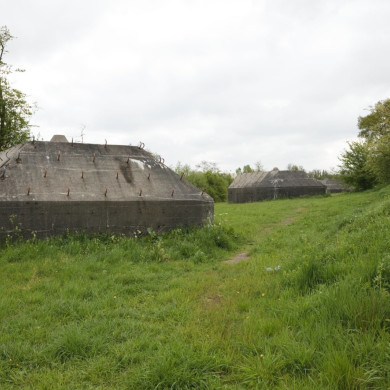 Rijksdienst voor het Cultureel Erfgoed