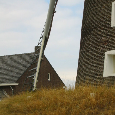 Rijksdienst voor het Cultureel Erfgoed: Terpstra, Frank