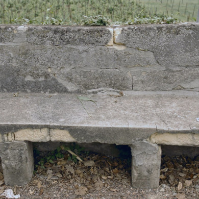 Rijksdienst voor het Cultureel Erfgoed: Galen, P. van