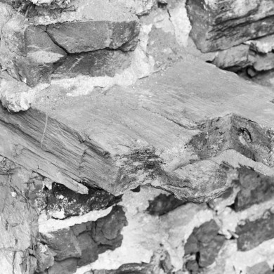 Rijksdienst voor het Cultureel Erfgoed: Tangel, L.M.