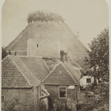 Rijksdienst voor het Cultureel Erfgoed: Bosse, M.