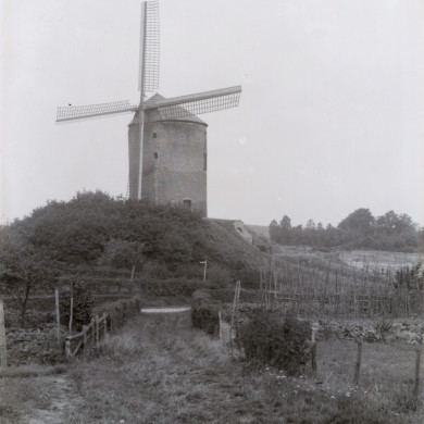 Rijksdienst voor het Cultureel Erfgoed: Brinio