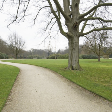 Rijksdienst voor het Cultureel Erfgoed: Galen, Jan van