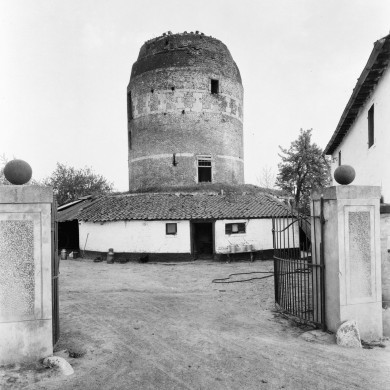 Rijksdienst voor het Cultureel Erfgoed: Delemarre, G.Th.