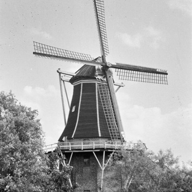 Rijksdienst voor het Cultureel Erfgoed: Heijdra, J.A.