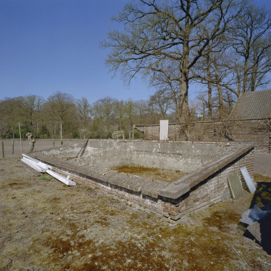 Rijksdienst voor het Cultureel Erfgoed: Heins, IJ.Th.