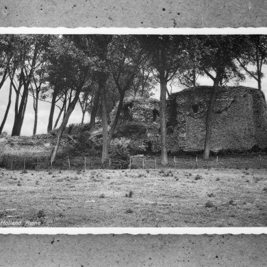 Rijksdienst voor het Cultureel Erfgoed: Delemarre, G.Th.