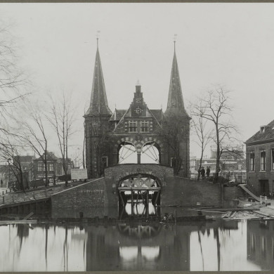 Rijksdienst voor het Cultureel Erfgoed: Jong, de