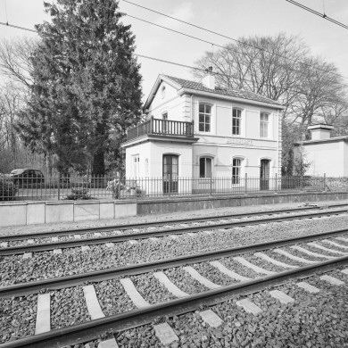 Rijksdienst voor het Cultureel Erfgoed: Koning, J.P. de