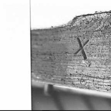 Rijksdienst voor het Cultureel Erfgoed